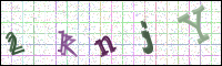 Image Verification
