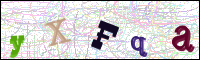 Image Verification