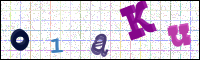 Image Verification