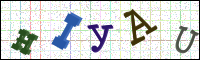 Image Verification
