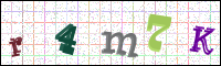 Image Verification