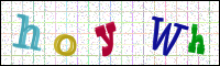 Image Verification