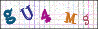 Image Verification