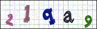 Image Verification