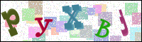 Image Verification