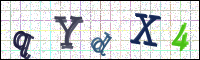 Image Verification