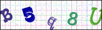 Image Verification
