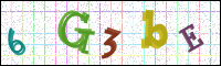 Image Verification