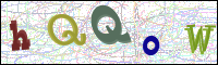 Image Verification