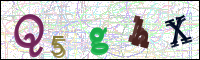 Image Verification