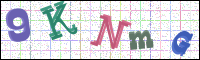 Image Verification
