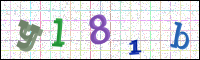 Image Verification