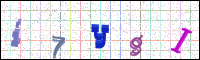 Image Verification
