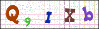 Image Verification