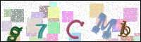 Image Verification