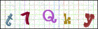 Image Verification