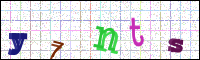 Image Verification