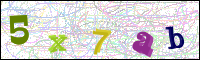 Image Verification