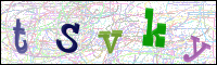 Image Verification