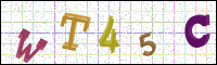 Image Verification