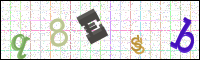 Image Verification