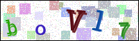 Image Verification