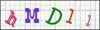 Image Verification