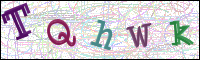 Image Verification