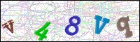 Image Verification
