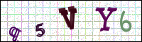 Image Verification