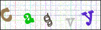 Image Verification