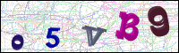 Image Verification
