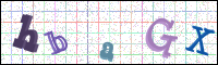 Image Verification