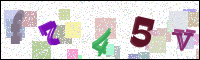 Image Verification