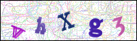 Image Verification