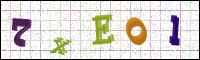 Image Verification