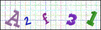 Image Verification