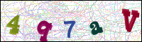 Image Verification