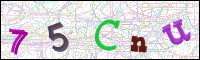 Image Verification