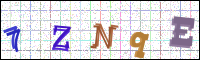 Image Verification