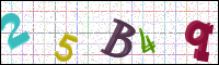 Image Verification