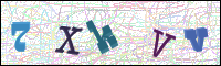 Image Verification