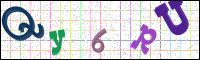 Image Verification
