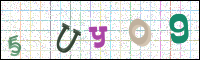 Image Verification