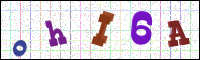 Image Verification
