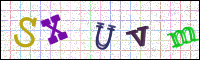 Image Verification