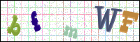 Image Verification