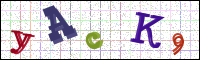 Image Verification