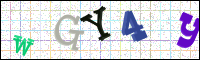 Image Verification