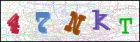 Image Verification